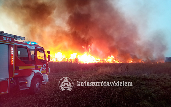 Március 10-től tűzgyújtási tilalom van az egész országban