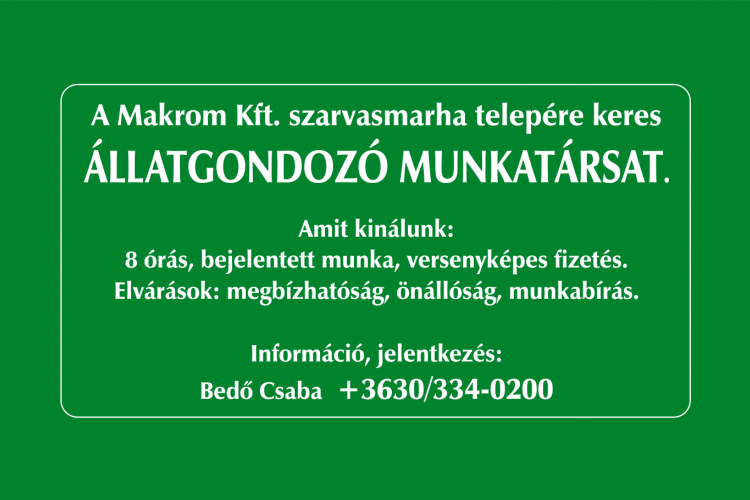 A Makrom Kft. szarvasmarha telepére keres állatgondozó munkatársat