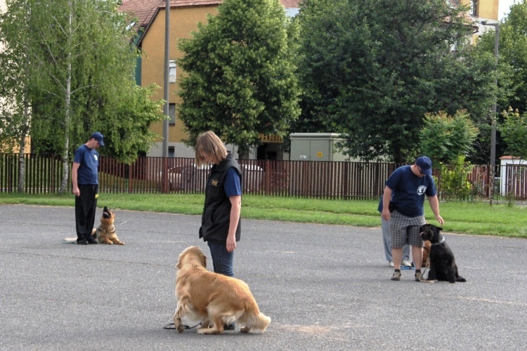 Városi Gyermeknap 2012.05.27.