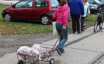 Több kilónyi zöldséget kapott 600 rászoruló 