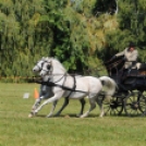 Fogathajtó bajnokság X. forduló Dombóvár 2011. 09. 03.